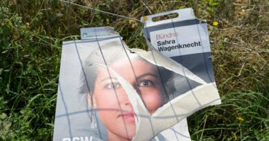 Zufuhr von Frischblut – rettet das BSW die etablierten Parteien?